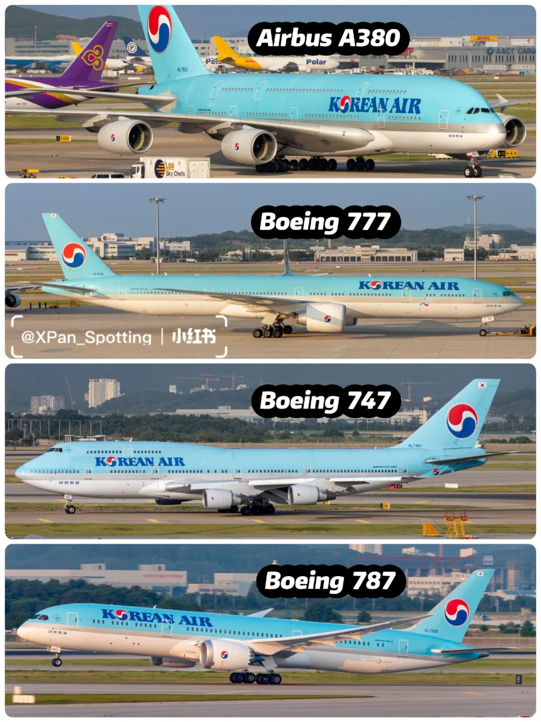 关于阿姆斯特丹猎鹰队晋级，锐不可挡的信息