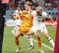 包含荷兰黄狮誓披荆斩棘，争夺胜利之路的词条